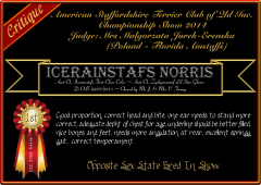 Icerainstafs Norris.png